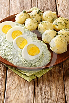 Traditional Frankfurter Gruene Sosse greenÂ sauce with boiled potatoes and eggs close-up. vertical